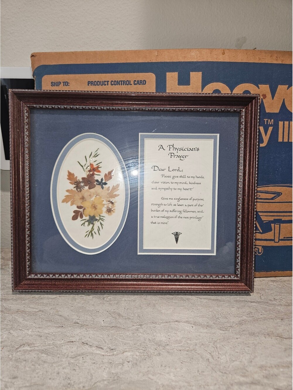 Framed A Physician's Prayer with Floral Artwork